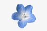 Profile picture of madie's archives