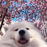 Profile picture of Vix Clotet