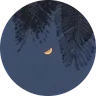 Profile picture of Pikt