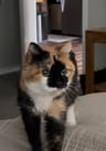 Profile picture of Mya Hartman