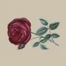 Profile picture of Thorn Templates